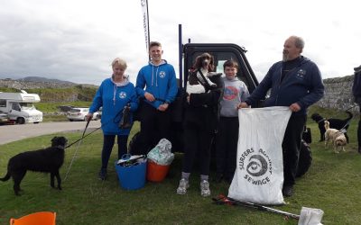 Campervan Travels, Minke Whale and PlasticAtBay