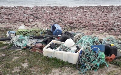 Marine Conservation Society Big British Beach Clean Challenge Day 1
