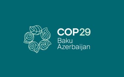 Thoughts following COP 29