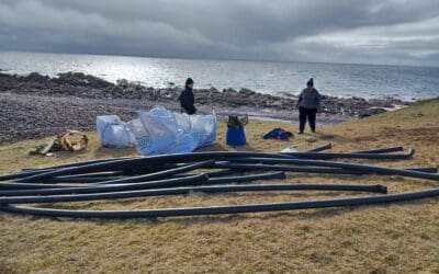 Raffin Beach Clean